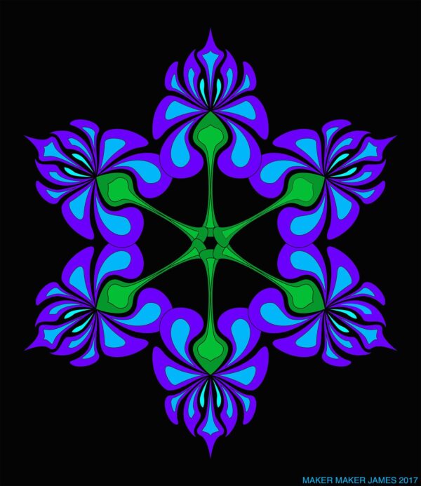 trippin with bluebonnets